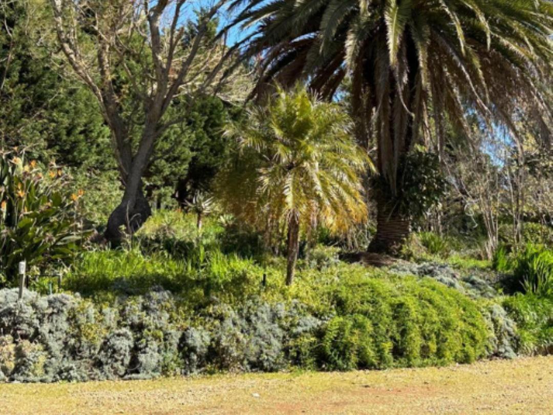 Madajo Villa Stellenbosch Ngoại thất bức ảnh